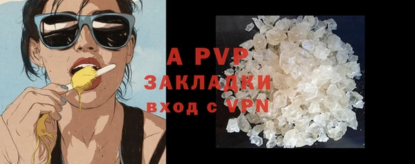 соль ск Алексин