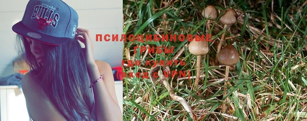 прущие крисы Алзамай