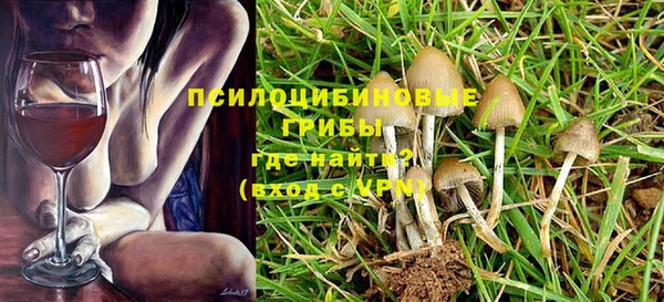 таблы Козловка