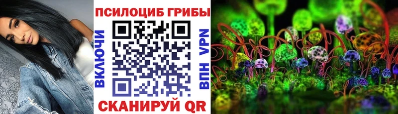 Псилоцибиновые грибы прущие грибы  darknet официальный сайт  Артёмовск  что такое  